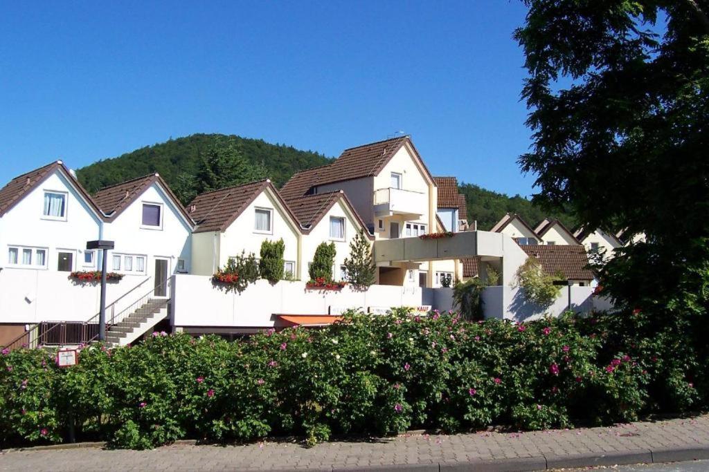 Seglerfewo Mit Traumhaftem Blick Vom Balkon Scheid  Ngoại thất bức ảnh